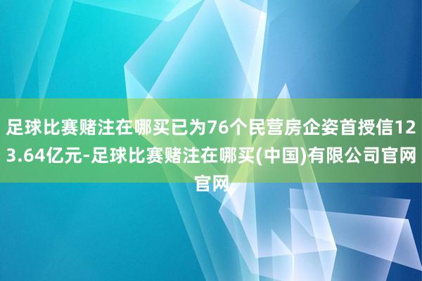 足球比赛赌注在哪买已为76个民营房企姿首授信123.64亿元-足球比赛赌注在哪买(中国)有限公司官网