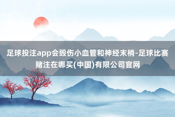 足球投注app会毁伤小血管和神经末梢-足球比赛赌注在哪买(中国)有限公司官网