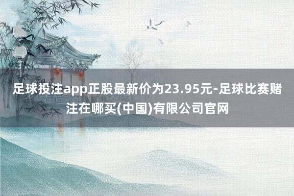 足球投注app正股最新价为23.95元-足球比赛赌注在哪买(中国)有限公司官网