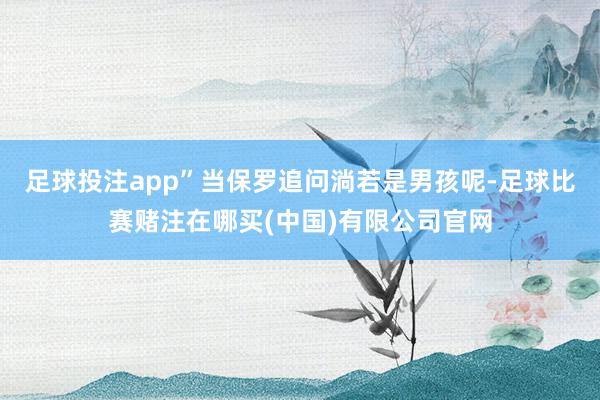 足球投注app”当保罗追问淌若是男孩呢-足球比赛赌注在哪买(中国)有限公司官网