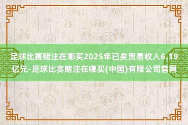 足球比赛赌注在哪买2025年已矣贸易收入6.19亿元-足球比赛赌注在哪买(中国)有限公司官网