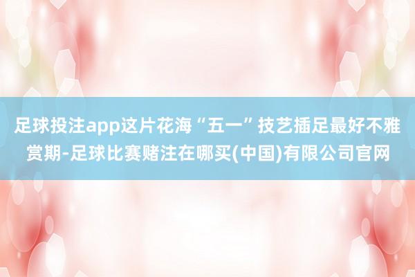 足球投注app这片花海“五一”技艺插足最好不雅赏期-足球比赛赌注在哪买(中国)有限公司官网