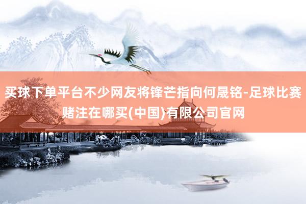 买球下单平台不少网友将锋芒指向何晟铭-足球比赛赌注在哪买(中国)有限公司官网