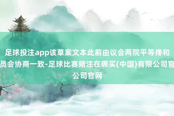 足球投注app该草案文本此前由议会两院平等搀和委员会协商一致-足球比赛赌注在哪买(中国)有限公司官网