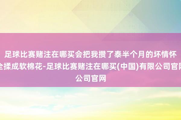 足球比赛赌注在哪买会把我攒了泰半个月的坏情怀全揉成软棉花-足球比赛赌注在哪买(中国)有限公司官网