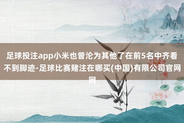 足球投注app小米也曾沦为其他了在前5名中齐看不到脚迹-足球比赛赌注在哪买(中国)有限公司官网