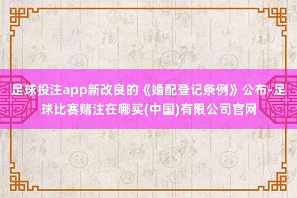 足球投注app新改良的《婚配登记条例》公布-足球比赛赌注在哪买(中国)有限公司官网