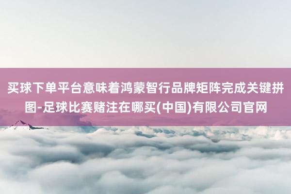 买球下单平台意味着鸿蒙智行品牌矩阵完成关键拼图-足球比赛赌注在哪买(中国)有限公司官网