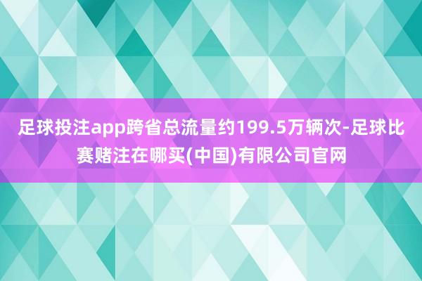 足球投注app跨省总流量约199.5万辆次-足球比赛赌注在哪买(中国)有限公司官网