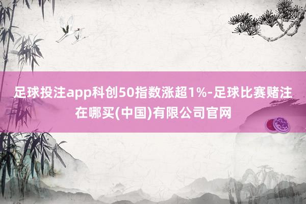 足球投注app科创50指数涨超1%-足球比赛赌注在哪买(中国)有限公司官网