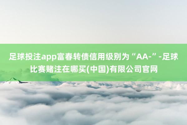 足球投注app富春转债信用级别为“AA-”-足球比赛赌注在哪买(中国)有限公司官网
