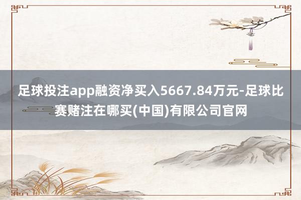 足球投注app融资净买入5667.84万元-足球比赛赌注在哪买(中国)有限公司官网