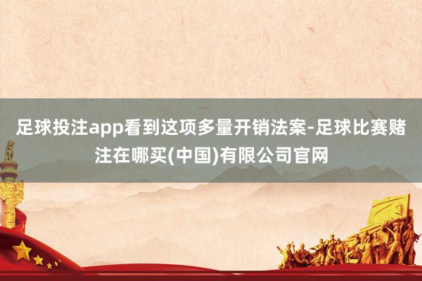 足球投注app看到这项多量开销法案-足球比赛赌注在哪买(中国)有限公司官网