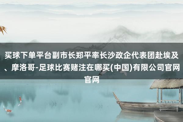 买球下单平台副市长郑平率长沙政企代表团赴埃及、摩洛哥-足球比赛赌注在哪买(中国)有限公司官网