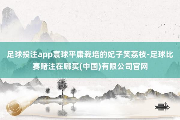 足球投注app寰球平庸栽培的妃子笑荔枝-足球比赛赌注在哪买(中国)有限公司官网