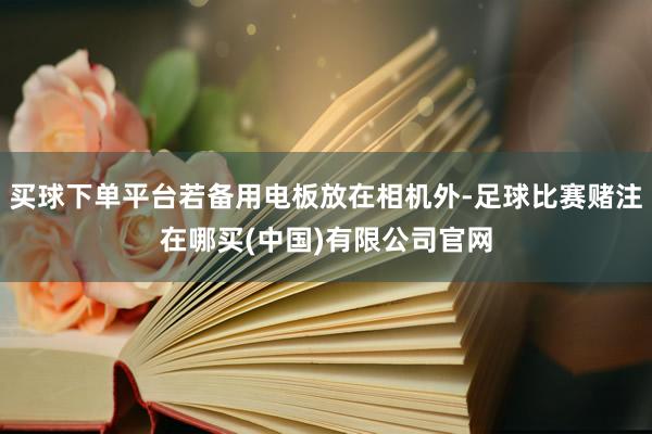 买球下单平台若备用电板放在相机外-足球比赛赌注在哪买(中国)有限公司官网