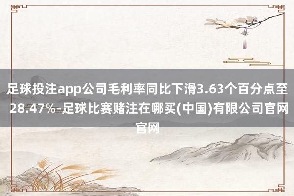 足球投注app公司毛利率同比下滑3.63个百分点至 28.47%-足球比赛赌注在哪买(中国)有限公司官网