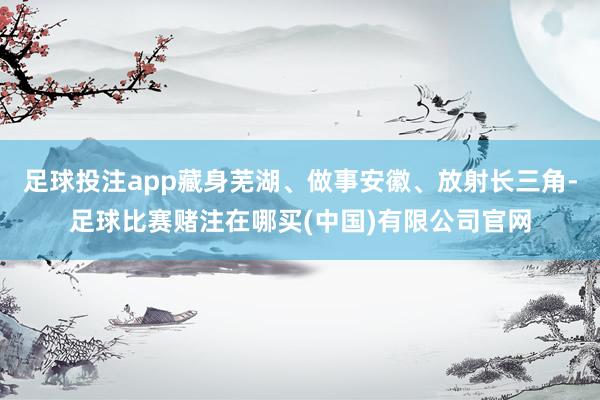 足球投注app藏身芜湖、做事安徽、放射长三角-足球比赛赌注在哪买(中国)有限公司官网