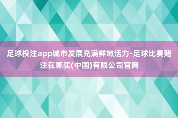足球投注app城市发展充满鲜嫩活力-足球比赛赌注在哪买(中国)有限公司官网