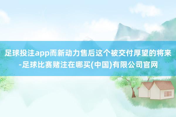 足球投注app而新动力售后这个被交付厚望的将来-足球比赛赌注在哪买(中国)有限公司官网