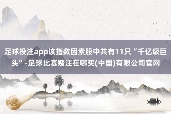 足球投注app该指数因素股中共有11只“千亿级巨头”-足球比赛赌注在哪买(中国)有限公司官网