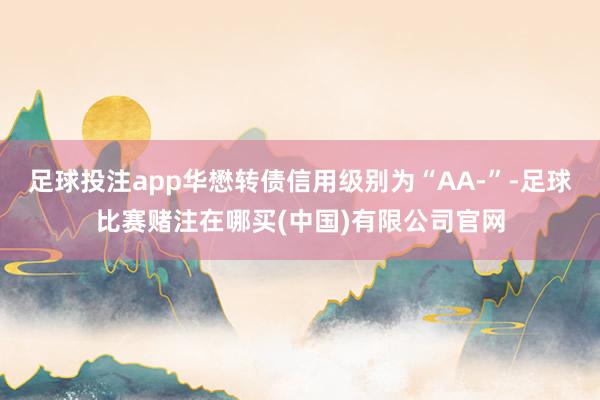 足球投注app华懋转债信用级别为“AA-”-足球比赛赌注在哪买(中国)有限公司官网